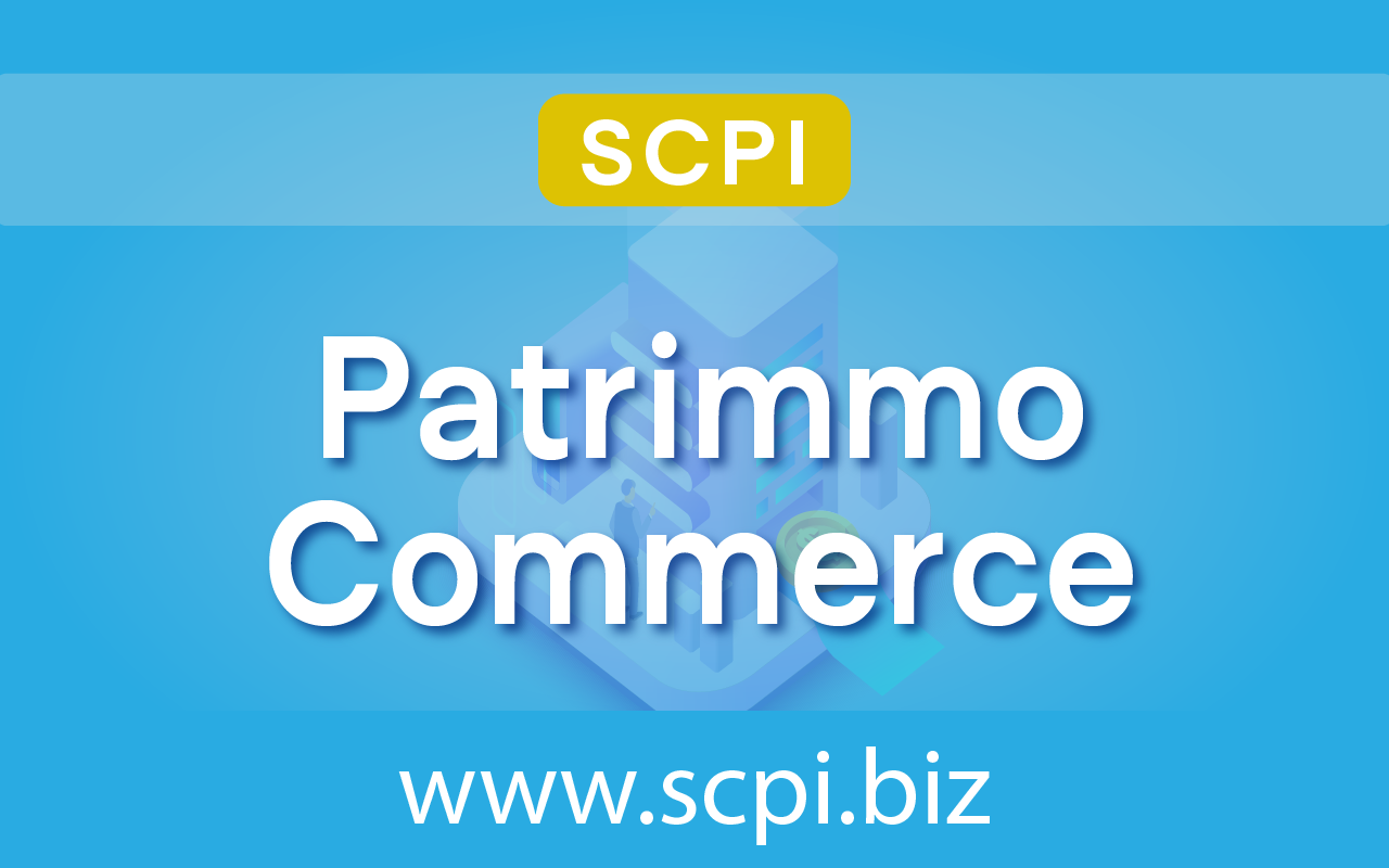 Avis Sur Patrimmo Commerce Scpi Biz Une Scpi Un Avis